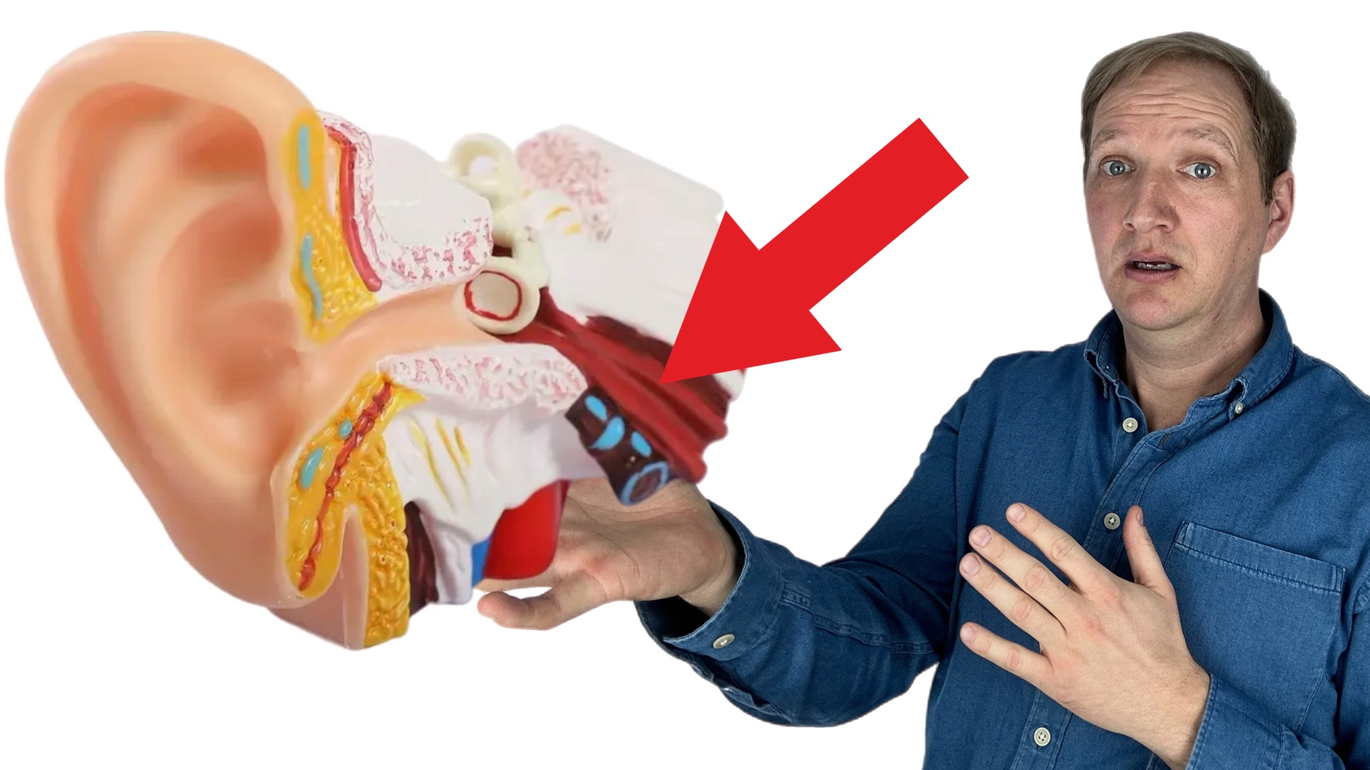 Man zeigt auf ein symbolisch dargestelltes Ohr mit Eustachischer Röhre